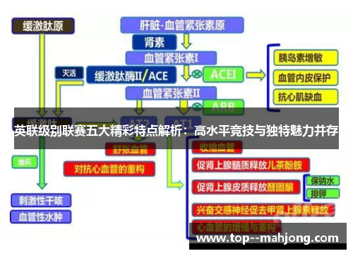 英联级别联赛五大精彩特点解析:高水平竞技与独特魅力并存 英联级别联赛五大精彩特点解析:高水平竞技与独特魅力并存
