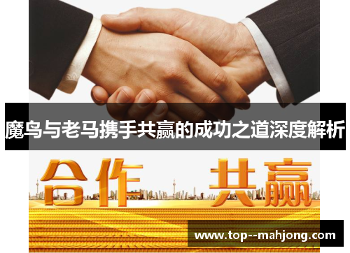 魔鸟与老马携手共赢的成功之道深度解析 魔鸟与老马携手共赢的成功之道深度解析