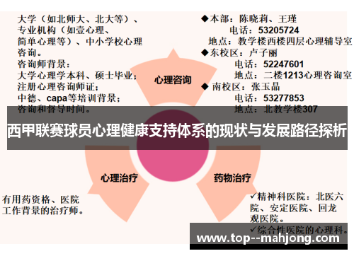 西甲联赛球员心理健康支持体系的现状与发展路径探析