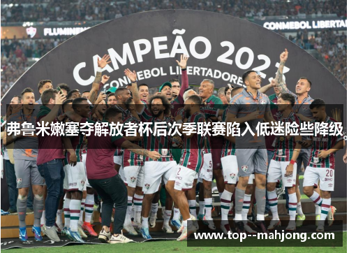 弗鲁米嫩塞夺解放者杯后次季联赛陷入低迷险些降级 弗鲁米嫩塞夺解放者杯后次季联赛陷入低迷险些降级